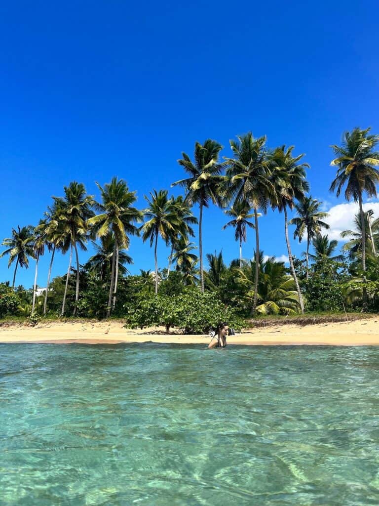 Playa Escondida TripAdvisor.com